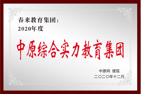 中原综合实力教育集团